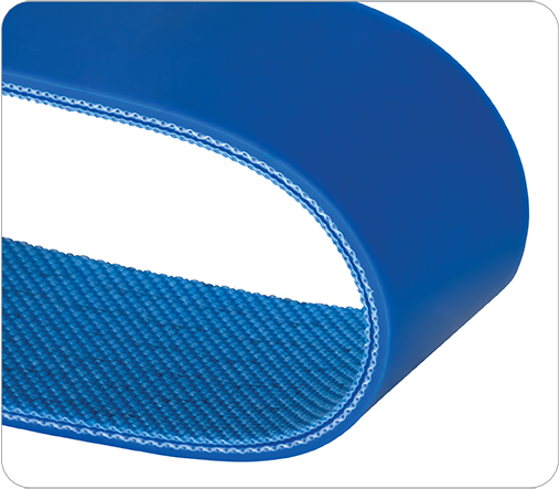 Duck 10 Blue
