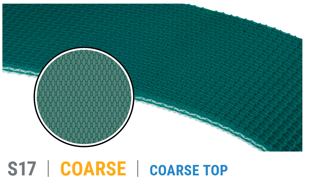 ISO - in search of this belt update**** i found one!!! ISO of a women main image 2