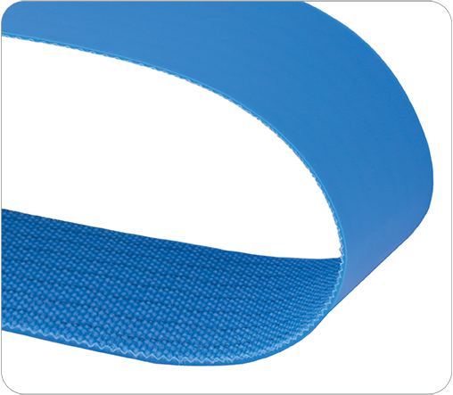 Pure 6 Blue
