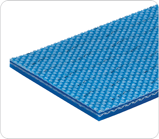 Duck 10 Blue