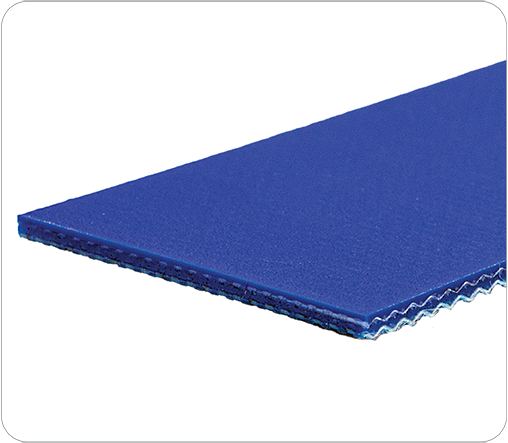Perfect 10 Blue Glossy