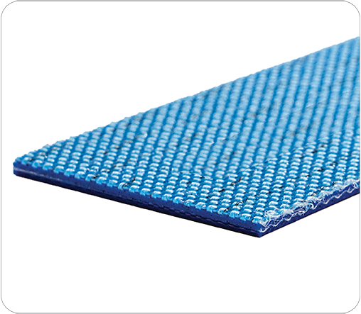 Perfect 10 Blue Glossy